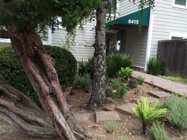 Foto del edificio - 6415 Snake Rd