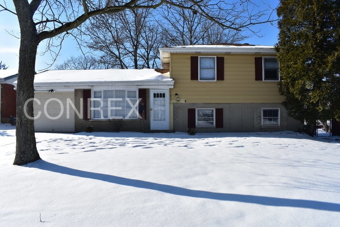Primary Photo - 11423 Riga Ct