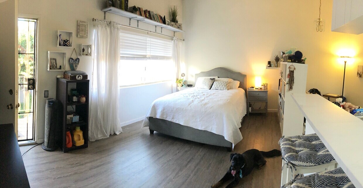Bright and airy studio apartment, laminate flooring throughout unit - 816 Coriander Dr