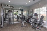 This fitness center is designed to support a full range of exercise needs within a bright and welcoming single-floor layout. The space is divided into two distinct workout zones, each thoughtfully outfitted for a different style of training.

The cardio area is lined with large windows that frame views of the outdoor pool and surrounding greenery, flooding the room with natural light. Treadmills, an elliptical trainer, and a recumbent bike are arranged to take full advantage of these views, making workouts feel open and energizing. Dual ceiling fans maintain comfortable airflow throughout, while recessed lighting and a textured ceiling complete the well-maintained interior. A glass-paneled door provides a seamless visual connection between the two zones.

The strength training area features floor-to-ceiling mirrors that visually expand the space and allow for proper form checks during exercise. A multi-functional cable machine, a dumbbell rack with a full weight selection, and a weight bench provide ample options for resistance training. Additional windows bring in natural light, and motivational wall art contributes to an encouraging atmosphere. Recessed lighting ensures the area is well-lit at all times.

Carpeted flooring throughout both zones adds comfort underfoot, while the neutral color palette and clean finishes give the entire fitness center a polished, professional feel.