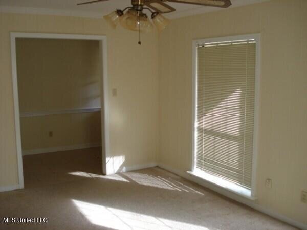 Foto del edificio - 5301 Ridgewood Rd