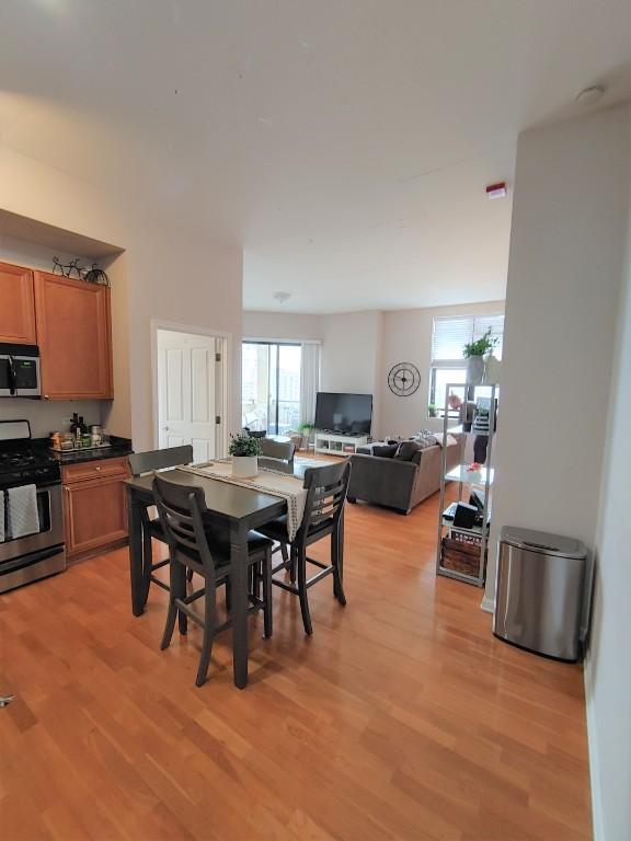 Building Photo - 3 bedroom in CHICAGO IL 60605