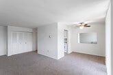 This single-floor residential unit offers a practical and functional layout designed for comfortable everyday living. The open living area is generously proportioned, finished with warm neutral-toned carpeting that extends throughout the main spaces. A ceiling fan provides overhead comfort, while large windows invite natural light and offer views of the surrounding greenery and neighboring buildings. A pass-through window or opening connects the living area to the kitchen, enhancing the sense of openness between the two spaces.

The kitchen is efficiently designed with white cabinetry, laminate countertops, a stainless steel sink, a white gas range, and a full-size refrigerator. Tile flooring and ample upper cabinet storage make it a practical cooking space.

The bedroom is a well-sized, carpeted room with a large window that fills the space with natural light. A double bi-fold closet provides dedicated storage. The neutral wall tones throughout create a clean, move-in-ready canvas.

The bathroom features classic tile work with a cream and blush square-tile pattern in the tub surround, a mosaic tile floor, and a full bathtub with an overhead shower. The overall aesthetic of the unit is clean and understated, making it a highly functional and adaptable living space.