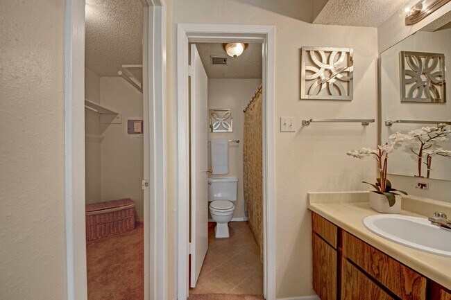 Un baño junto a un vestidor para el dormitorio principal. - Cypress Pointe
