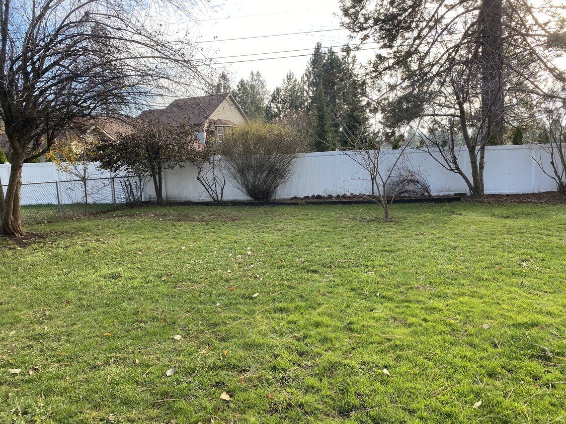 Yard - 1424 E Burnham Ave