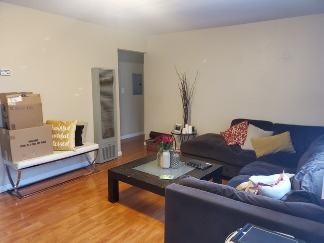 Living Room - 342 Schafer Rd
