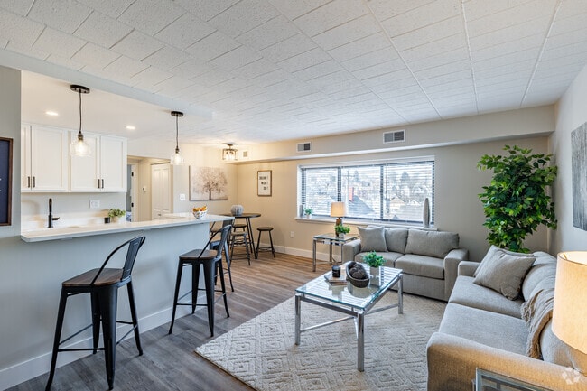 1BR, 1BA - 570SF - Living Room - The Library Flats