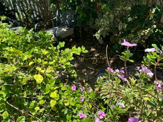 Building Photo - Hidden Oasis in Waianae! Upgraded and Quiet!