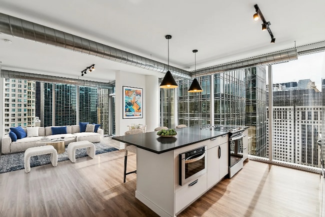 Photo - 183 W Kinzie St Apartment