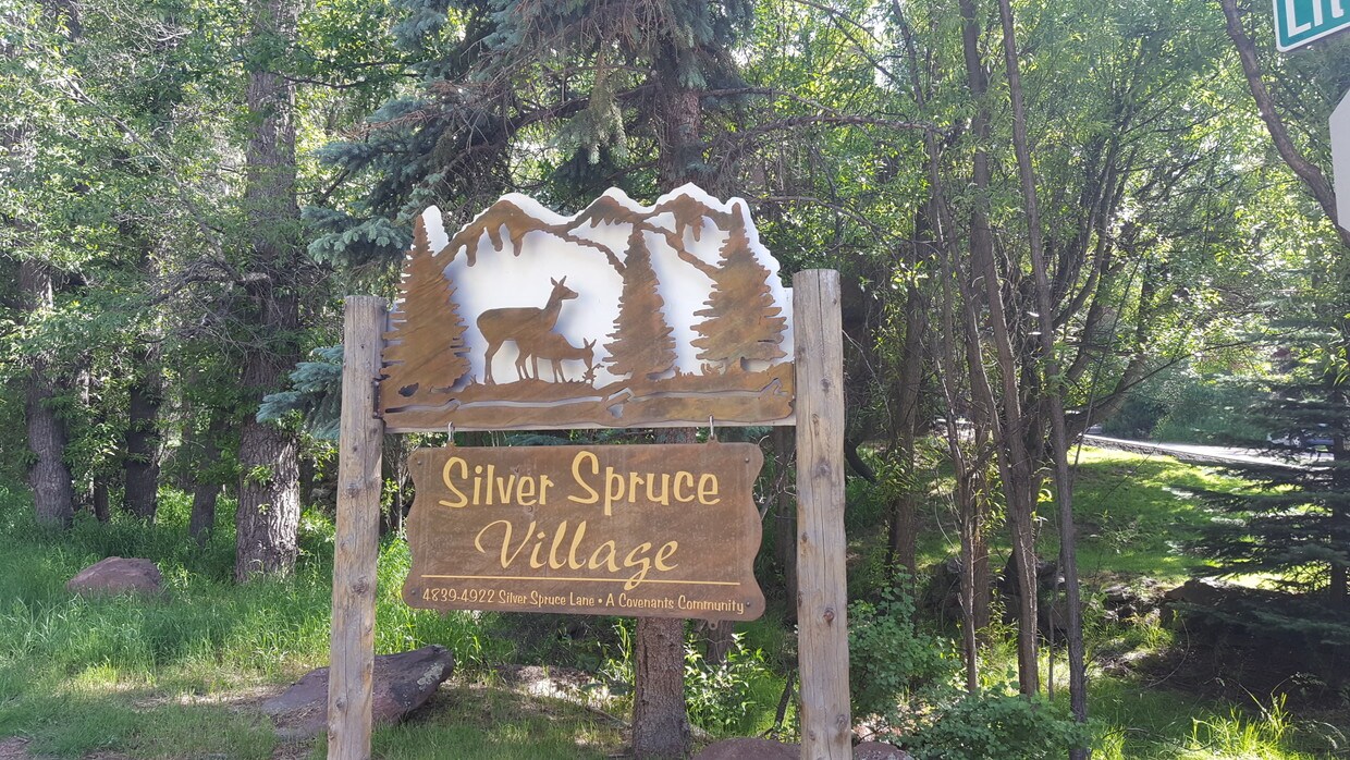 Primary Photo - 4845 Silver Spruce Ln