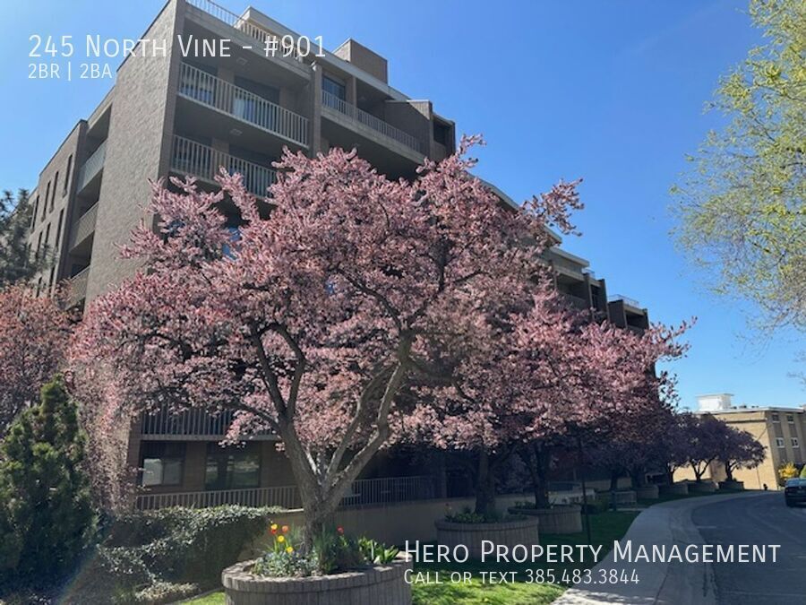 Primary Photo - 245 North Vine-#901
