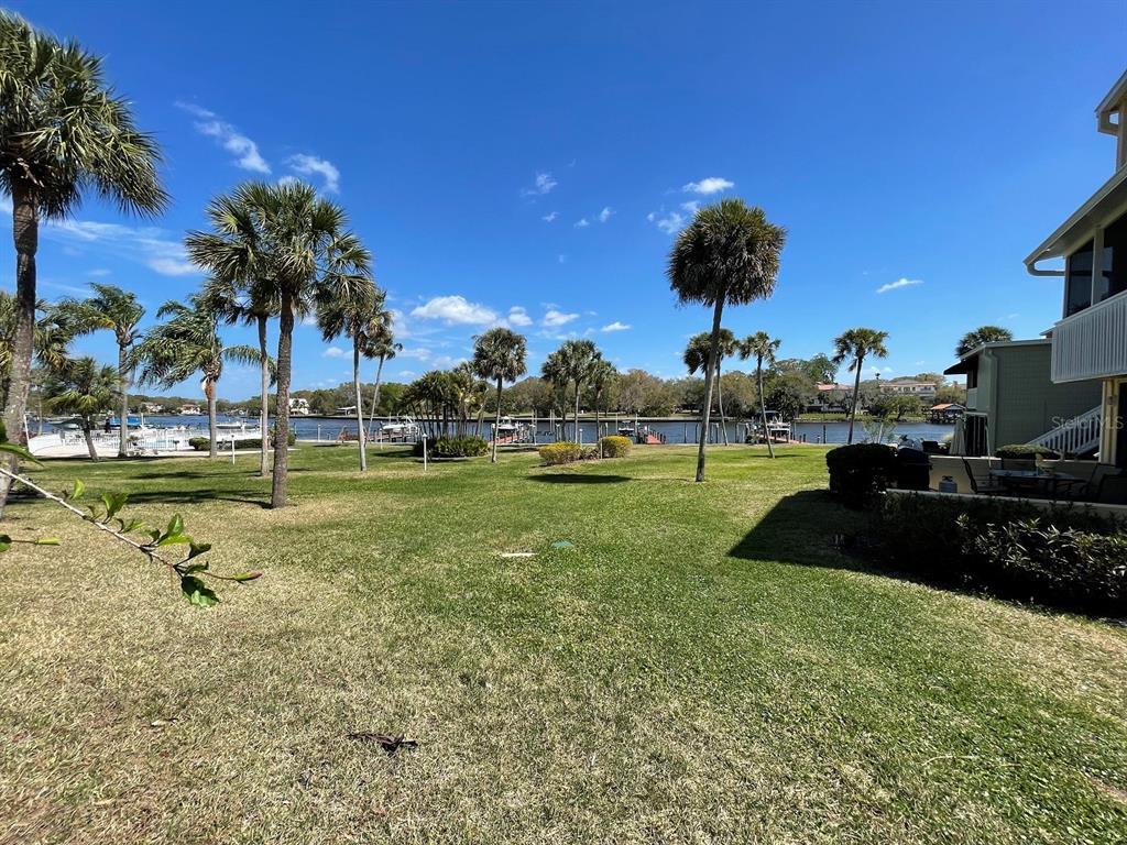 2424 W Tampa Bay Blvd Unit B201, Tampa, FL 33607 Condo for Rent in