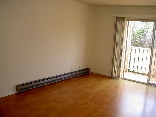 Living Room & Balcony - The Cannery Apartments