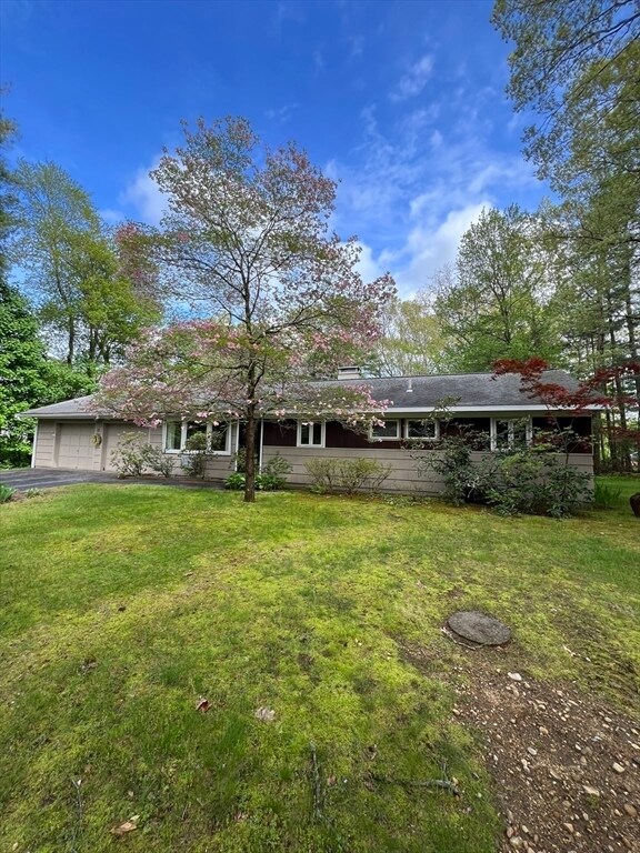 Primary Photo - 11 Elsbeth Rd