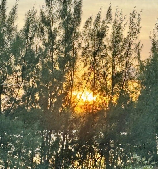 Foto del edificio - 8650 NW 97th Ave