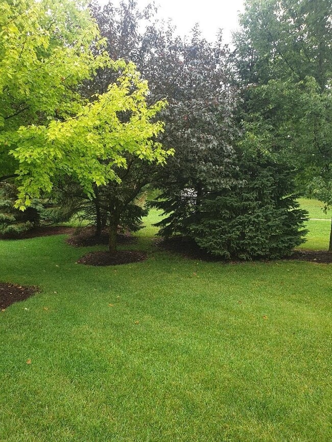 Building Photo - 28121 Sonoma Pass