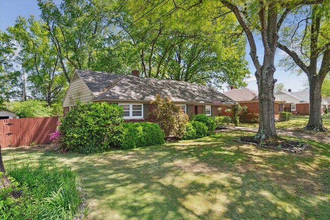 Building Photo - 336 McElroy Rd