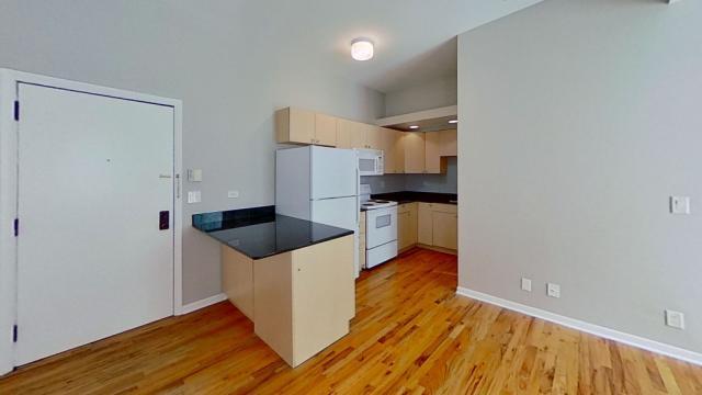Building Photo - 1 bedroom in Chicago IL 60611