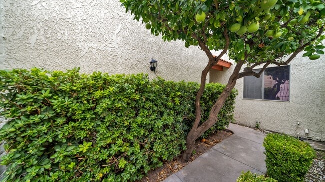 Foto del edificio - East Side Remodeled 2 Bdrm Townhome