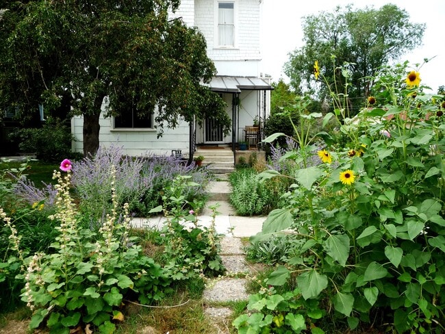 Front walkway in summer - 1372 S 300 E