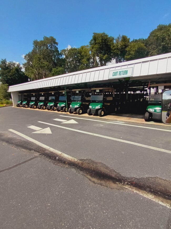 Tons of Golf Carts for ren t - 24 N Bobwhite Rd