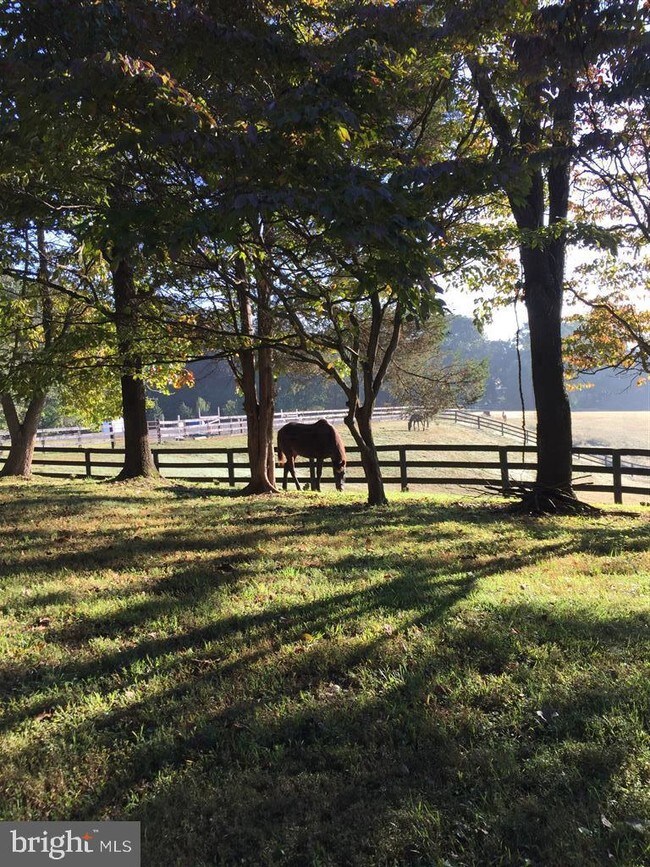 Foto del edificio - 9341 Cornwell Farm Dr
