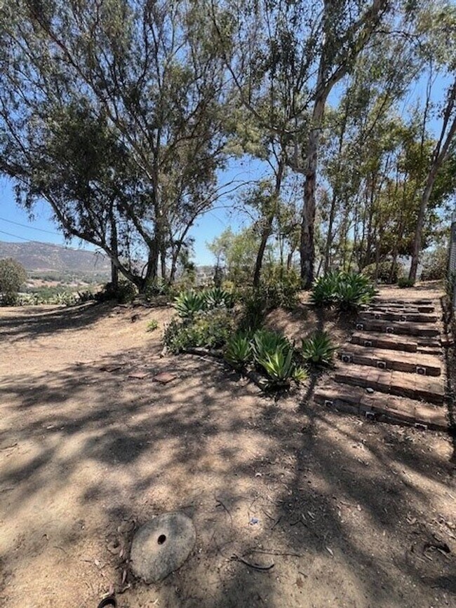 Building Photo - PRIVATE 4 BEDROOM/3 BATHROOM LARGE JAMUL HOME WITH POOL