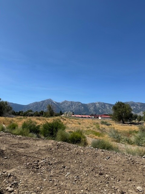 Foto del edificio - 324 Cattail Cir