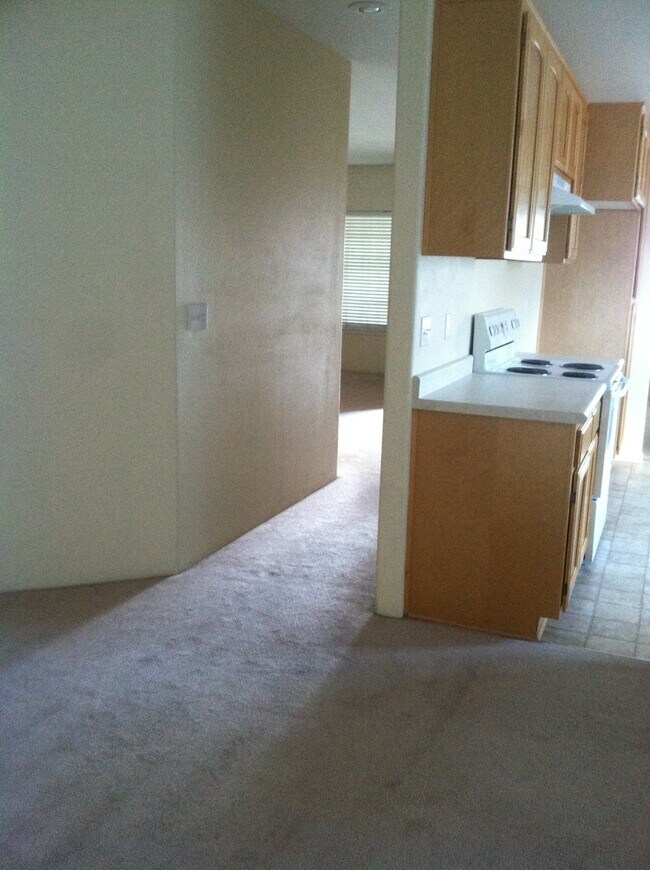 hallway from family area to living room - 1409 Andrew Dr