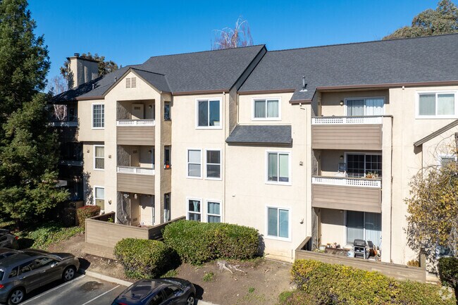 Building Photo - Montierra Condos