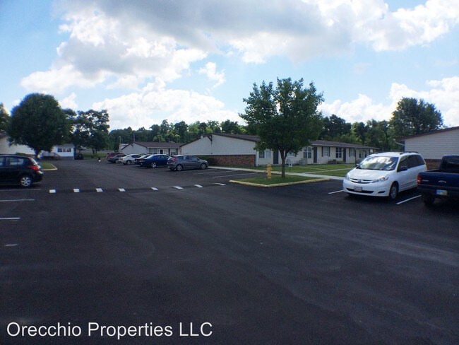 Ohio valley singles steubenville