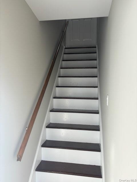 Foto del edificio - 204 Vanderbilt Ave