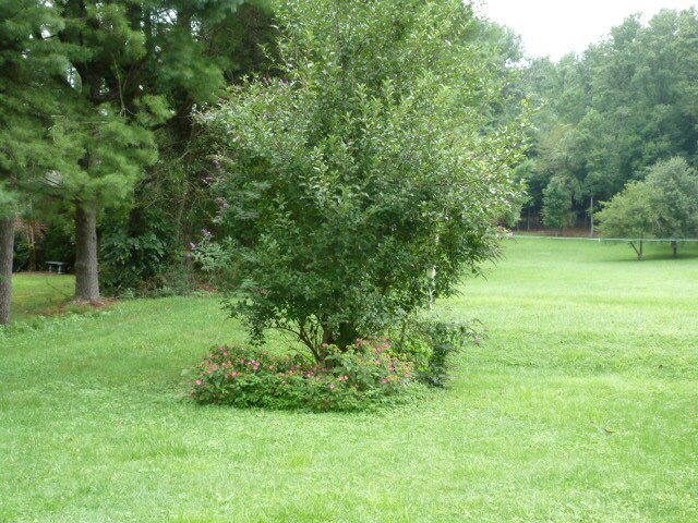 Building Photo - Cute 2 bedroom in Great Location!!