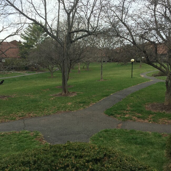 Park view - 508 Auten Rd