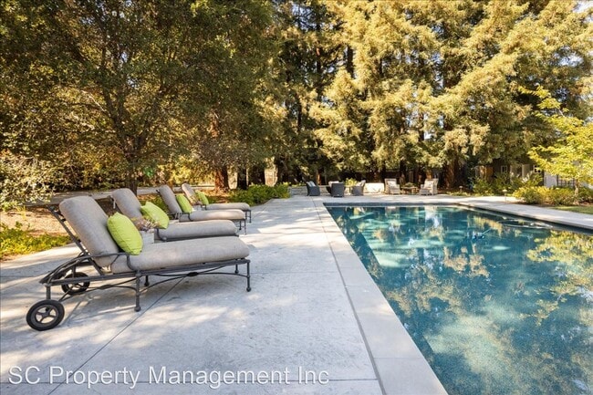 Foto del edificio - 4 br, 3.5 bath House - 90 McCormick Lane