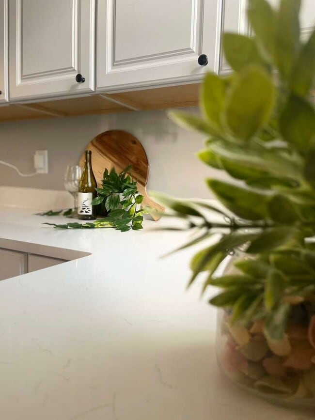 Photo - 645 Dumbarton Ave House