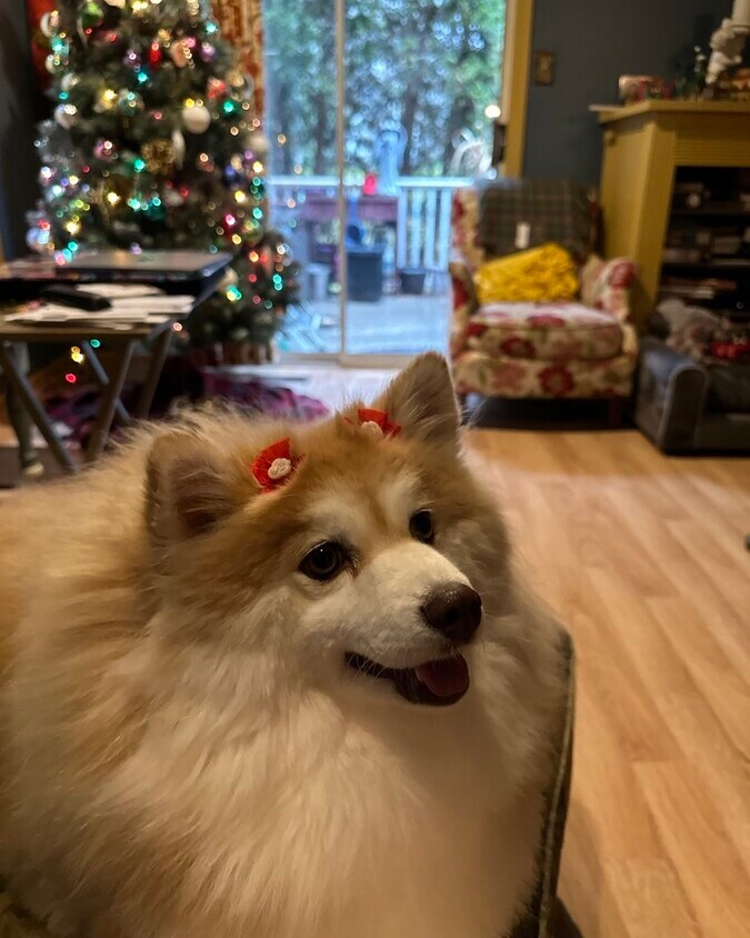 968 Roundhouse Ct, West Chester, PA 19380 Townhome Rentals in West