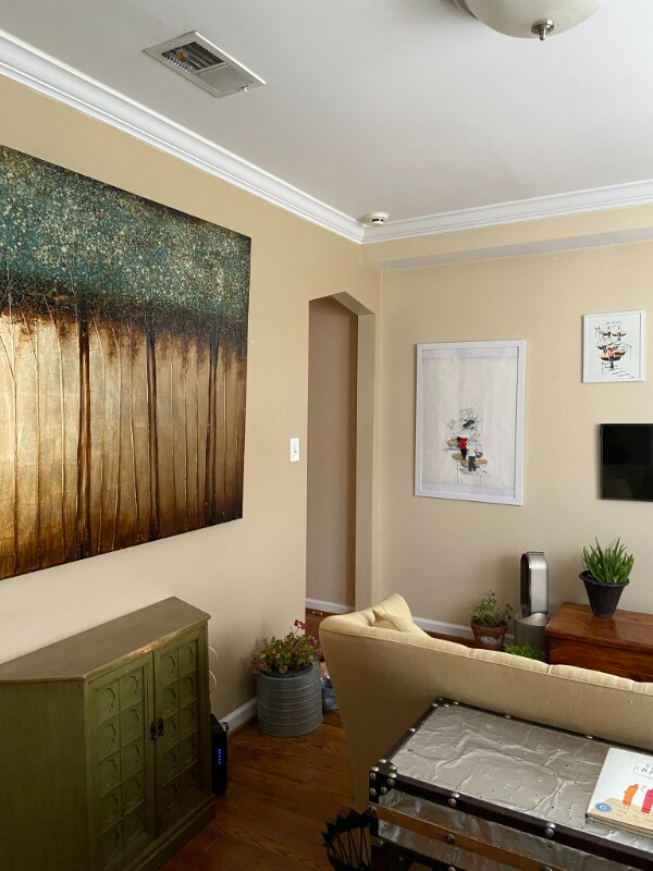 403 Douglas St NE Unit B, Washington, DC 20017 Condo for Rent in