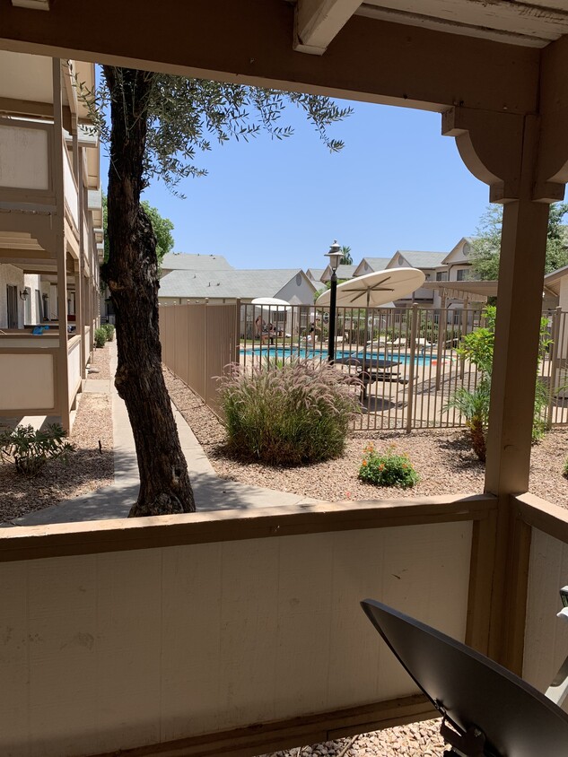 Patio and Pool - 616 S Hardy Dr
