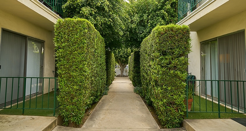 Exterior - 1246 Wellesley Ave
