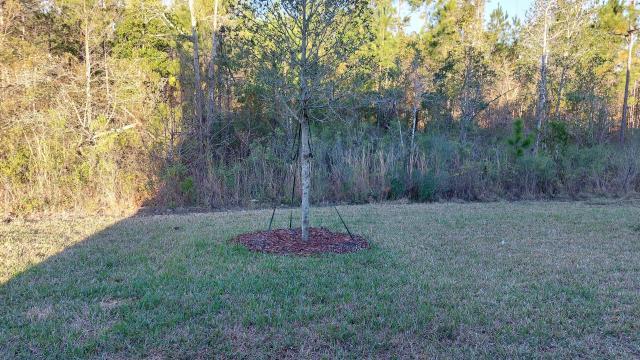 Foto del edificio - 3 bedroom in ST AUGUSTINE FL 32092