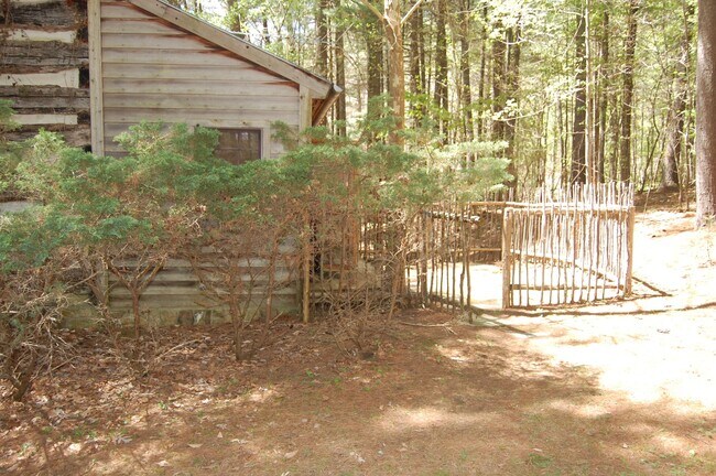 Building Photo - Cozy Cabin - 1 BR, 1 Ba