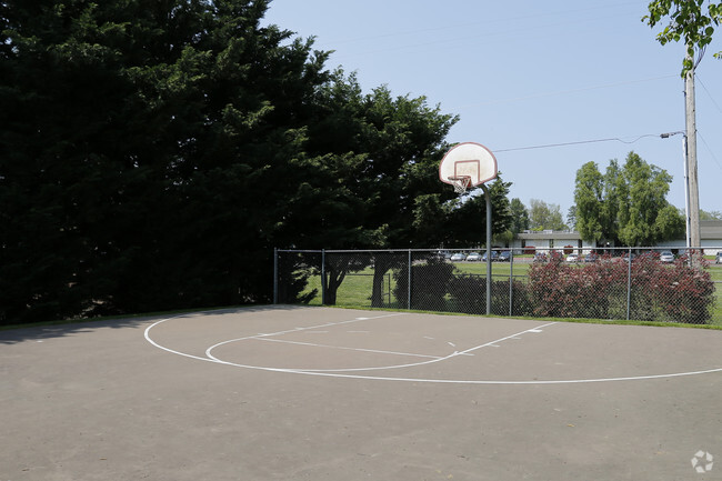 Cancha de básquetbol - The Heron Club