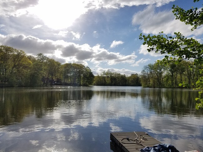 Lake desde el muelle - 331 Ridgewood Rd