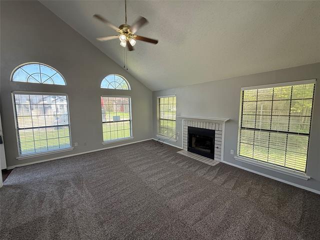 Foto del edificio - 11808 Avery Ln