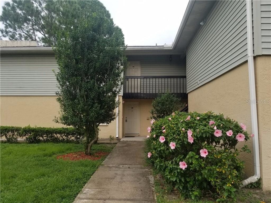Primary Photo - 207 Red Cedar Pl