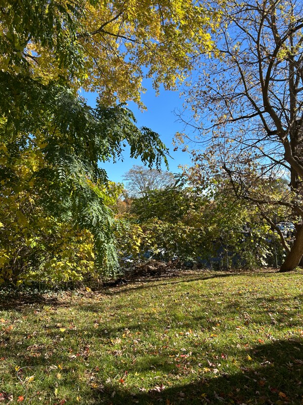 Foto del edificio - 215 W 1st St S