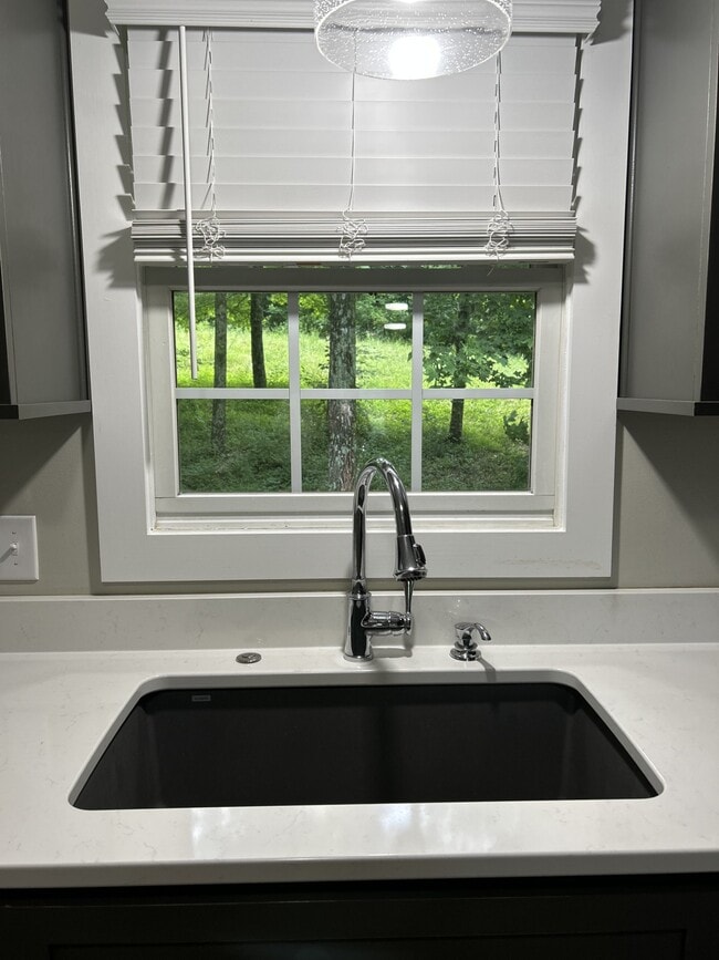 Gorgeous view from the kitchen sink - 12411 New Bowling Green Rd