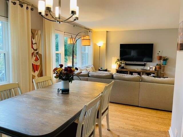 Foto principal - 1325 Seward St