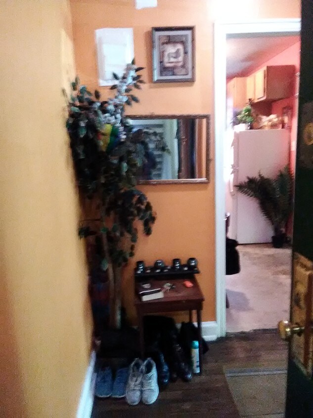 Foyer to huge apartment - 126 E 3rd St